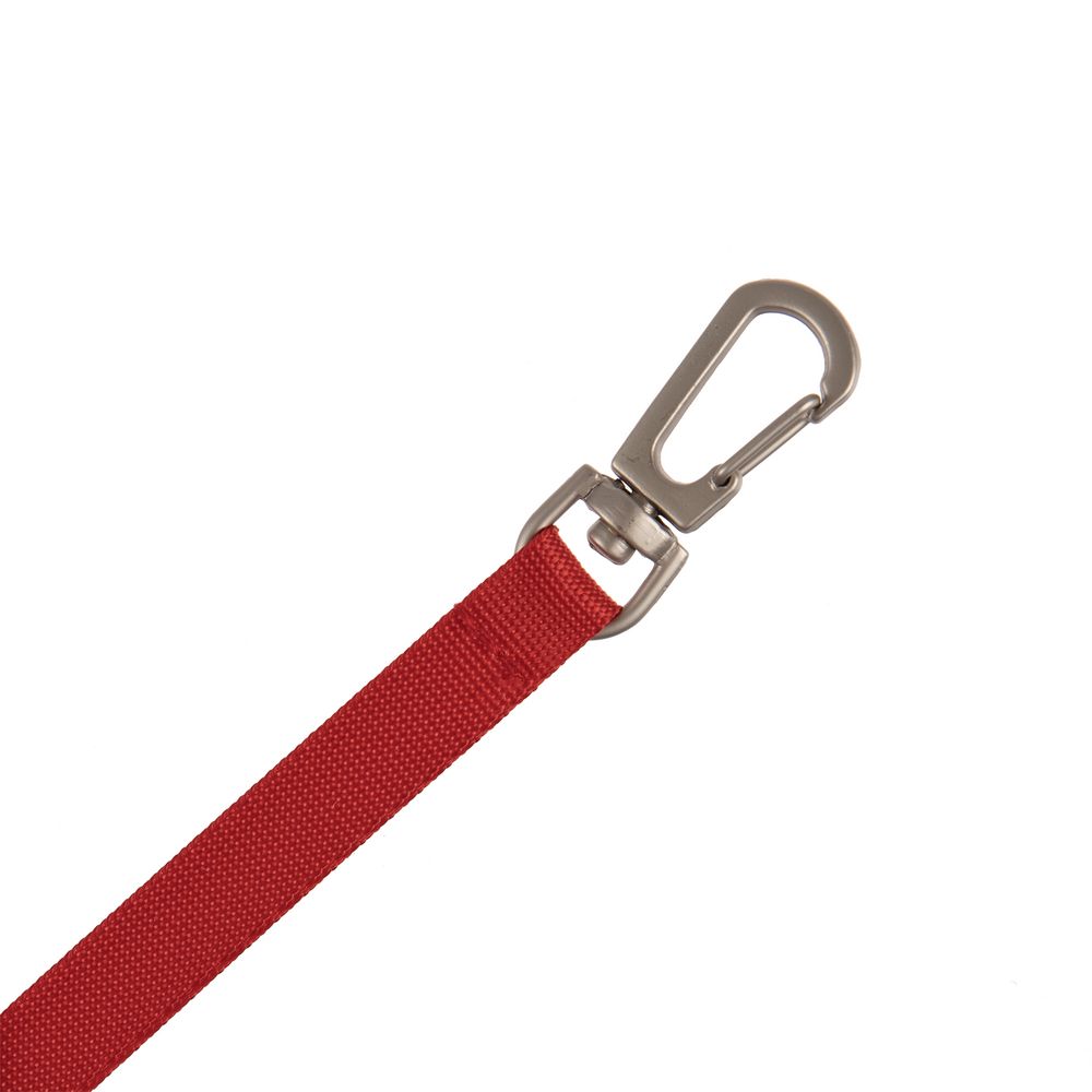 Застежка-карабин Snap Hook, S, серебристая 2