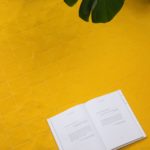 Плед для пикника Soft & Dry 2, желтый 9