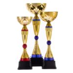 Кубок Awardee, малый, синий 4